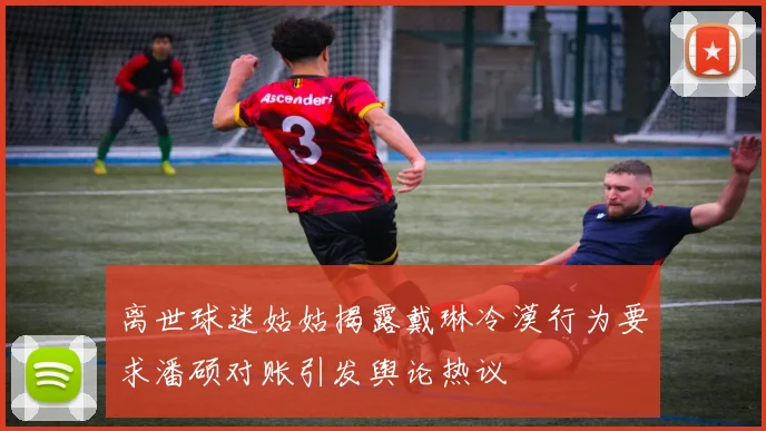 离世球迷姑姑揭露戴琳冷漠行为要求潘硕对账引发舆论热议