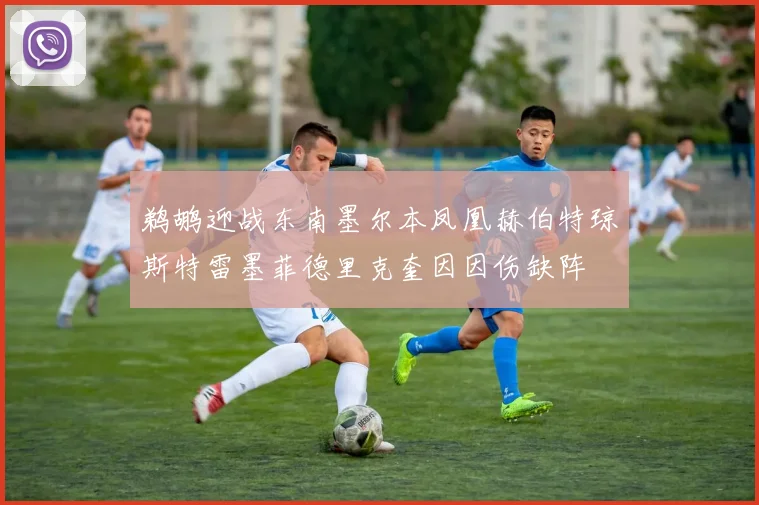 鹈鹕迎战东南墨尔本凤凰赫伯特琼斯特雷墨菲德里克奎因因伤缺阵